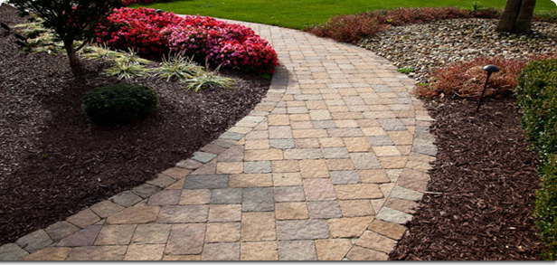 modèle d'allée de jardin synfy