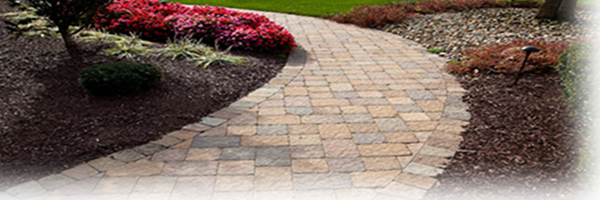 modèle d'allée de jardin synfy